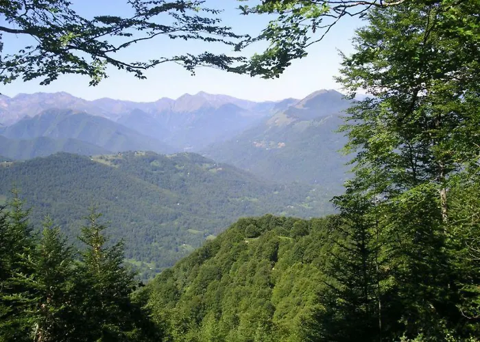 Au détour Du Larrech